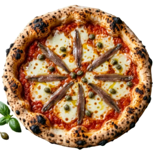 Pizza Sicilienne / Napolitaine : tomate, Fior di latte, Anchois (avec ou sans câpres)